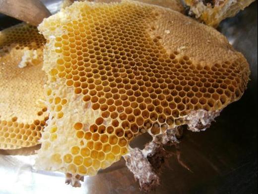 高原深山野生百花蜜 商品图2