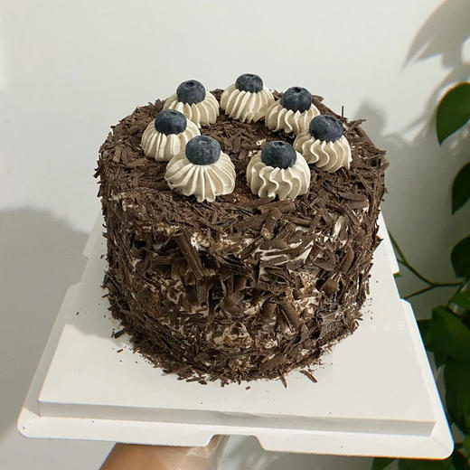 【巧克力蓝莓】香浓的巧克力与蓝莓相遇-冰淇淋生日蛋糕 商品图0