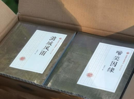《民国通俗小说典藏文库：张恨水卷》，16开平装，全2箱56册，张恨水著，中国文史出版社2018年一版一印，定价3380.6元，售价946元。 商品图5