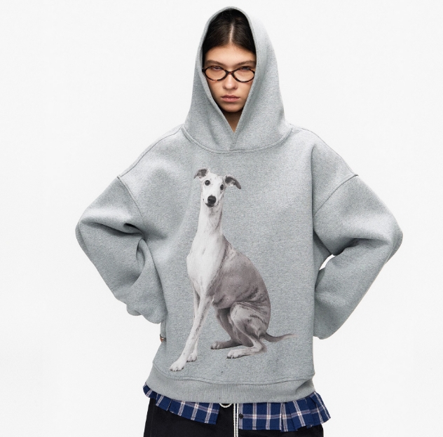 R-Dpercent DP24-076 灰色灵缇印花针织复合空气层宽松百搭挺阔长袖连帽卫衣