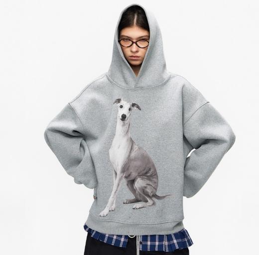 R-Dpercent DP24-076 灰色灵缇印花针织复合空气层宽松百搭挺阔长袖连帽卫衣 商品图0