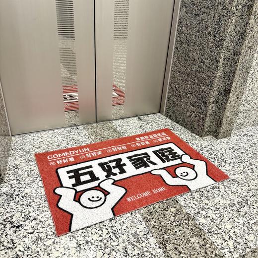 【包邮】Storm徐风暴【五好家庭】专场周边-丝圈地垫 商品图3