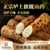 怀山堂河南温县垆土新鲜有机铁棍怀山药40公分长5斤重整箱 商品缩略图0
