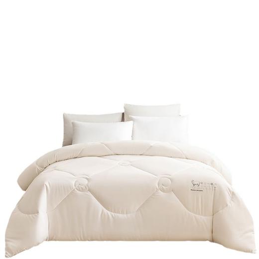 三泰龙 100%纯羊毛被芯加厚保暖秋冬被 商品图4