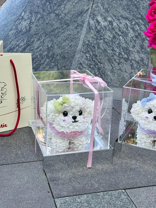 网红爆品迷你比熊永生花生日送花送闺蜜送女朋友特别礼物 商品图13