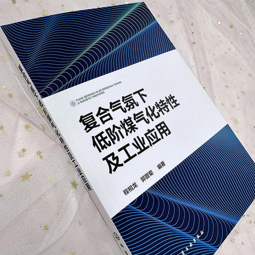 复合气氛下低阶煤气化特性及工业应用 商品图3