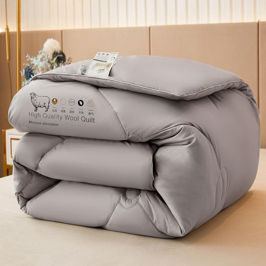 三泰龙 100%纯羊毛被芯加厚保暖秋冬被 商品图5