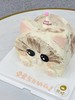 哇哦，一只可爱的猫！（异形蛋糕） 商品缩略图2