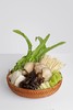 素菜一箩筐（暖锅加菜） 商品缩略图0