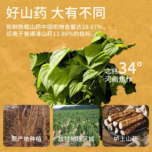 【怀生堂】精选河南焦作垆土铁棍山药，1大罐铁棍山药粉❗❗古法麸炒七斤山药仅产1仅粉❗全家营养全靠它🥳每罐600g 商品图1