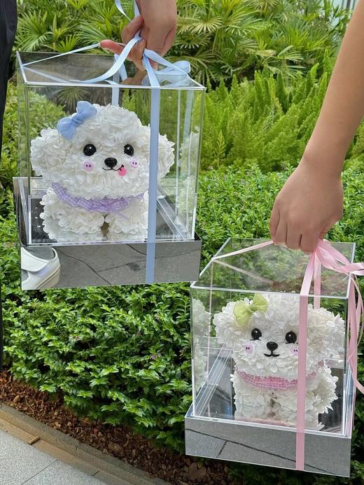 网红爆品迷你比熊永生花生日送花送闺蜜送女朋友特别礼物 商品图10