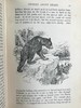 1908年 安德鲁·朗格《动物故事集》 60余幅插图 漆布精装32开 商品缩略图12