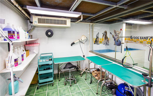 犬儿洁浴 商品图9