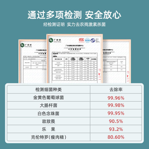 德国蓝宝果蔬清洗机家用食材净化洗菜器蔬菜洗水果卫士 心选到家 商品图3