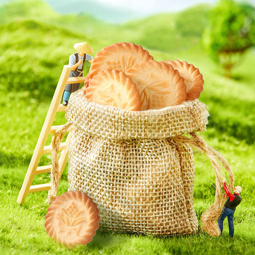 500g×2上海万年青 来自上海的上海万年青——圆荣圆万年青 商品图3