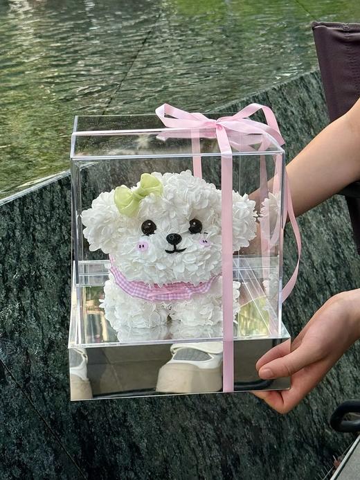 网红爆品迷你比熊永生花生日送花送闺蜜送女朋友特别礼物 商品图11