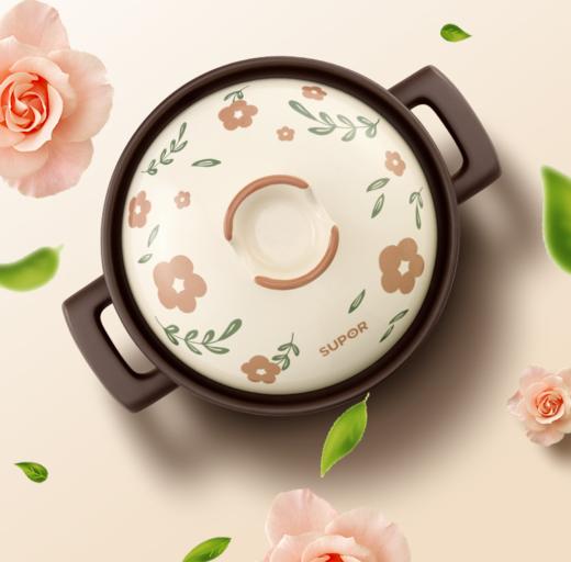 SUPOR苏泊尔新陶养生煲·乐享Ⅲ系列TB20/30A3·菜煲煲  2.0L/3.0L 商品图1