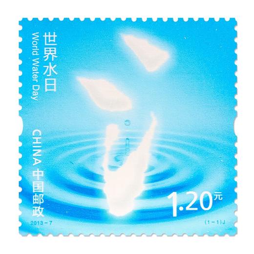 《世界水日》纪念邮票 2013-7 商品图0