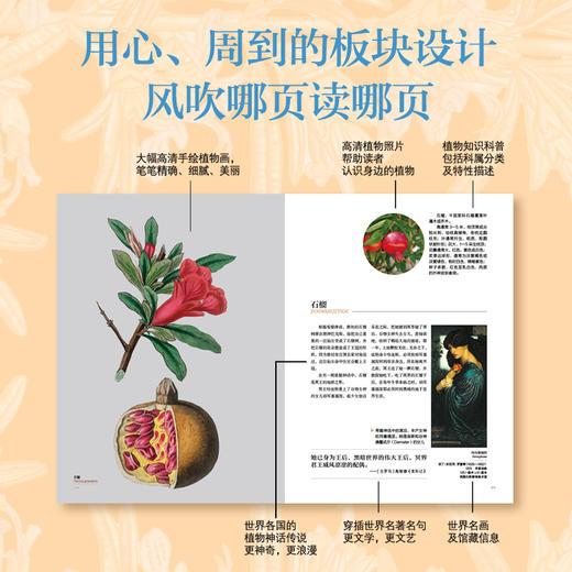 花果树的动人传说：百年经典博物画集 精装 商品图7