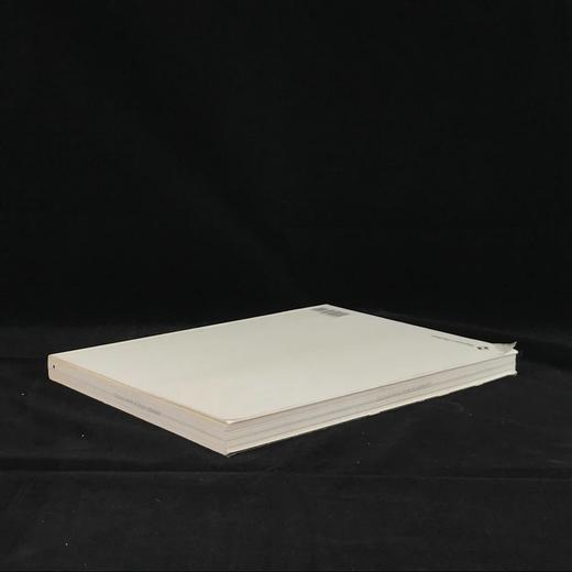 耳环：从古代到现在 600余幅插图（108幅彩色） 平装大16开 商品图2