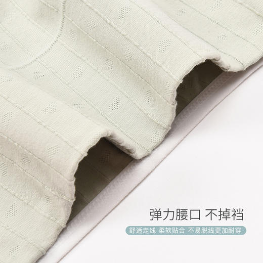 洁丽雅4条装高腰纯棉女士内裤简约多色组合柔软舒适三角裤女 商品图6