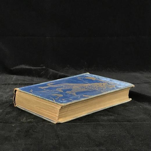 1908年 安德鲁·朗格《动物故事集》 60余幅插图 漆布精装32开 商品图1