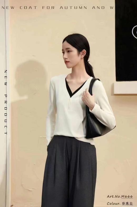 LS竹纤维女士时尚暖绒V领打底衫666 商品图2