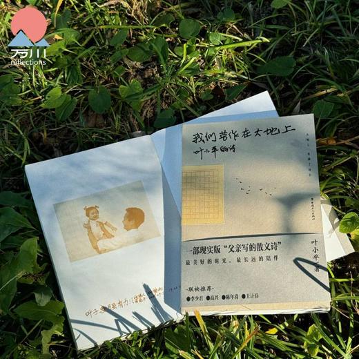 我们劳作在大地上：一部现实版“父亲写的散文诗”叶小平著 商品图1