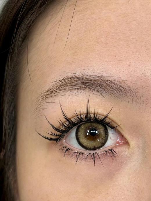 jellydoll 月抛 发光体棕 直径14.5mm着色13.92mm 商品图5