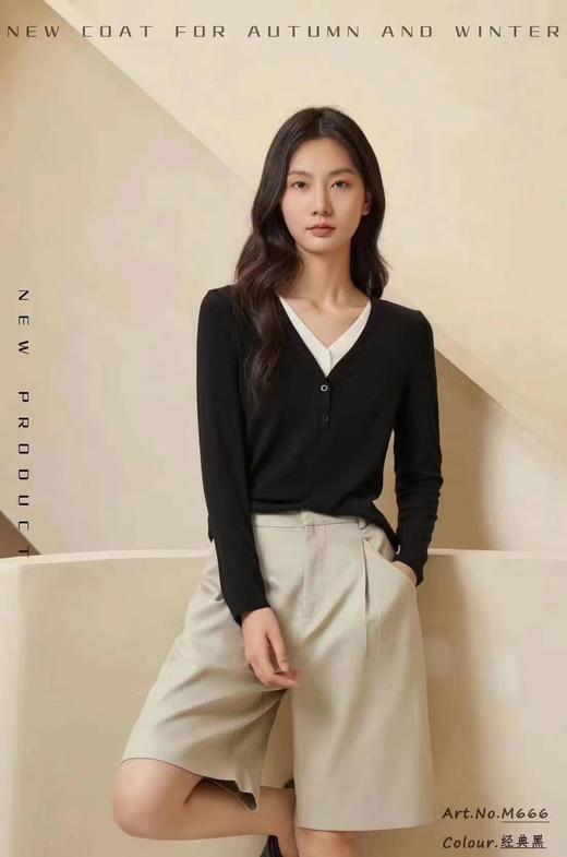 LS竹纤维女士时尚暖绒V领打底衫666 商品图1