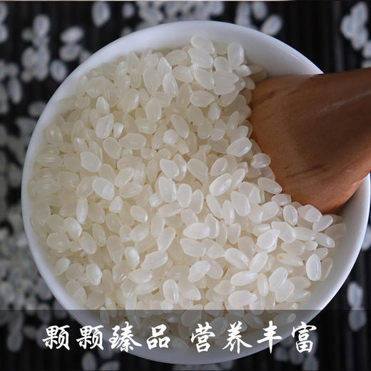 【绮】蒲香农家小町米，5KG 商品图2