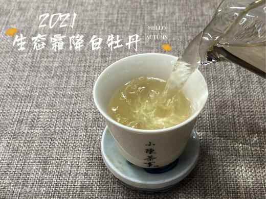 【世所罕见的珍藏级好茶】2021有机霜降白牡丹，每4年独一份的好茶，藏在深深深秋里的春意盎然 商品图6