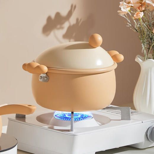 炊大皇 布偶20cm汤锅 不粘锅 煲汤炖煮熬粥汤奶锅 明火专用 BO20TG 商品图4