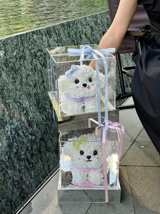 网红爆品迷你比熊永生花生日送花送闺蜜送女朋友特别礼物 商品图4