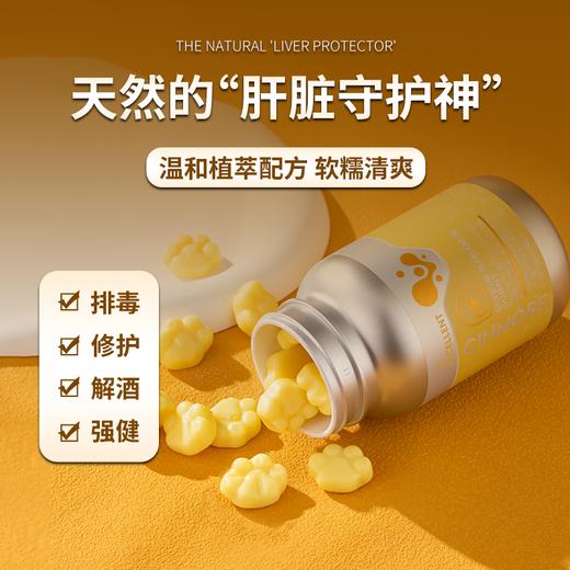 修护旰损伤 解酒醒酒 摆脱口臭口苦 防脂肪肝 | 美国Cinmose养肝宝 商品图2