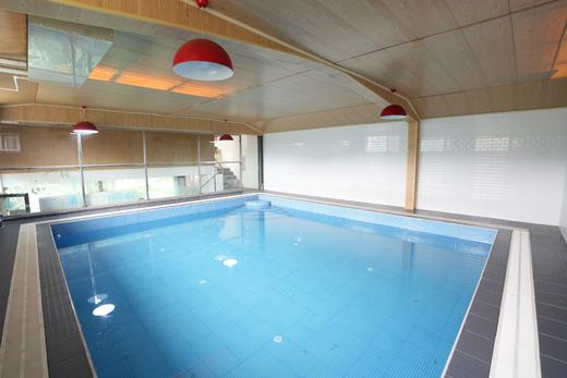 犬儿小驿 商品图14