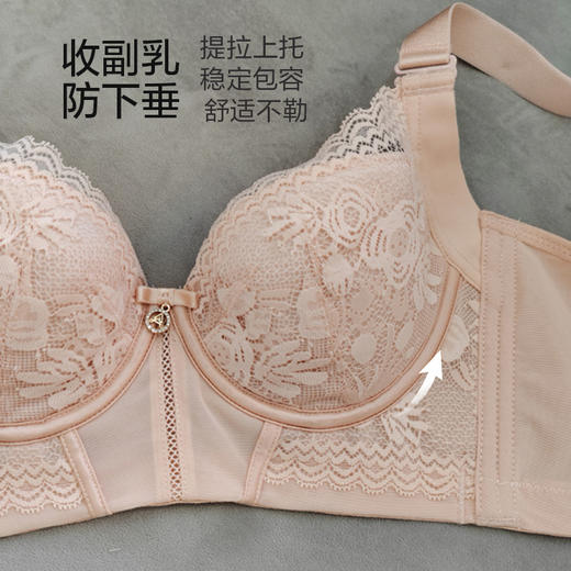 微语·玫瑰调整型文胸 商品图3