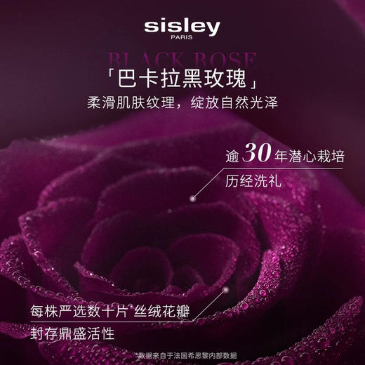 【专柜小样】法国 Sisley希思黎  黑玫瑰紧致涂抹面膜 10ml 商品图2