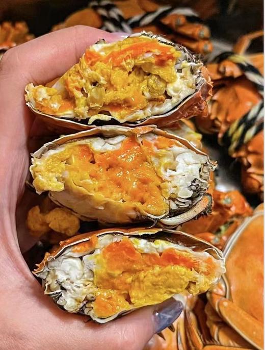 【鳌蟹江湖】售后无忧【正宗阳澄湖大闸蟹】源头直供 现货大闸蟹 鲜活现发 商品图7