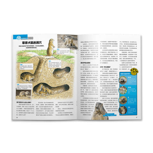 《好奇号》12期征订 商品图6