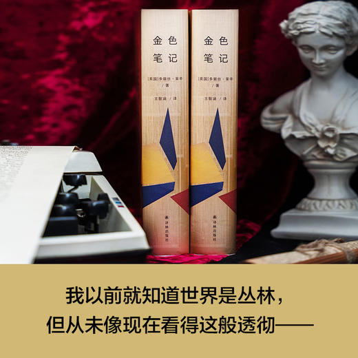 【莱辛作品】金色笔记 商品图1
