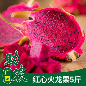 【广西】红心火龙果5斤