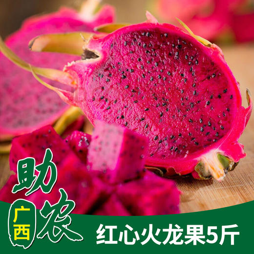 【广西】红心火龙果5斤 商品图0