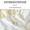 洁丽雅4条装中腰纯棉女士内裤马卡龙色系双层纯棉内裆舒适亲肤三角裤 商品缩略图3