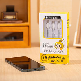 经典】中国杨凌农高会联名款 岸纾新升级款三合一快充数据线  一线三用