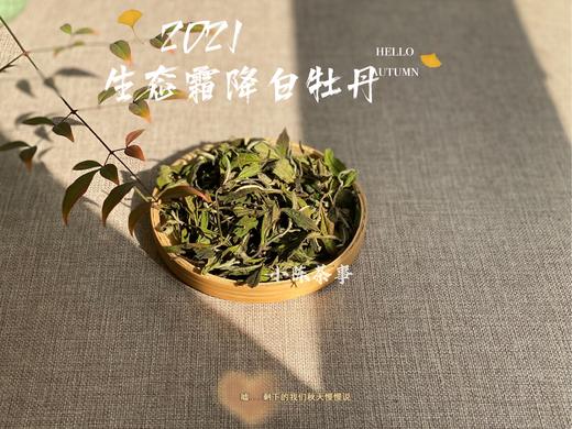 【世所罕见的珍藏级好茶】2021有机霜降白牡丹，每4年独一份的好茶，藏在深深深秋里的春意盎然 商品图0