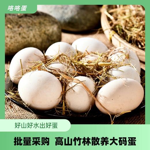 高山散养草鸡蛋30枚（江浙沪顺丰包邮） 商品图2