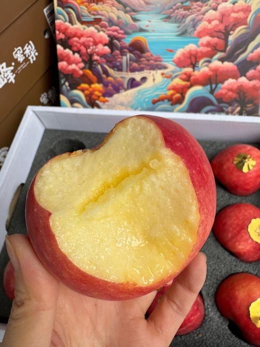 九霄云脆苹果 商品图0