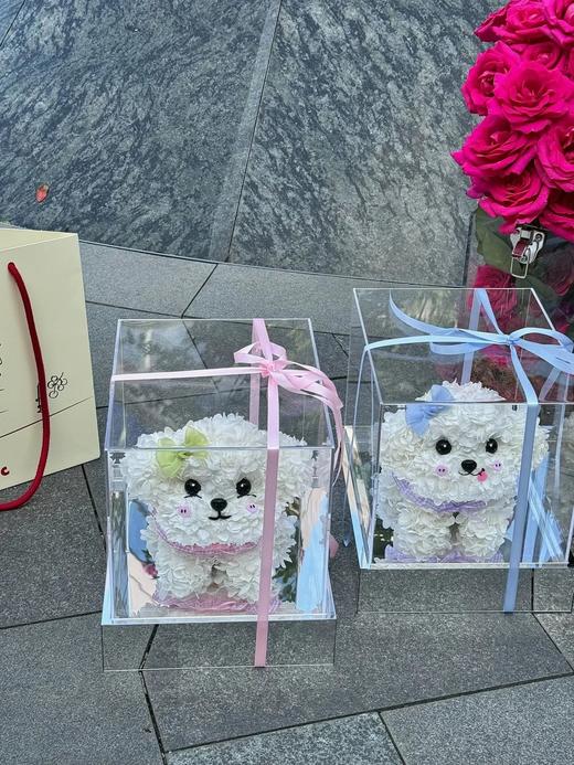 网红爆品迷你比熊永生花生日送花送闺蜜送女朋友特别礼物 商品图2