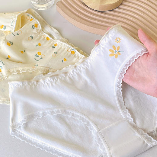 洁丽雅4条装中腰纯棉女士内裤马卡龙色系双层纯棉内裆舒适亲肤三角裤 商品图2